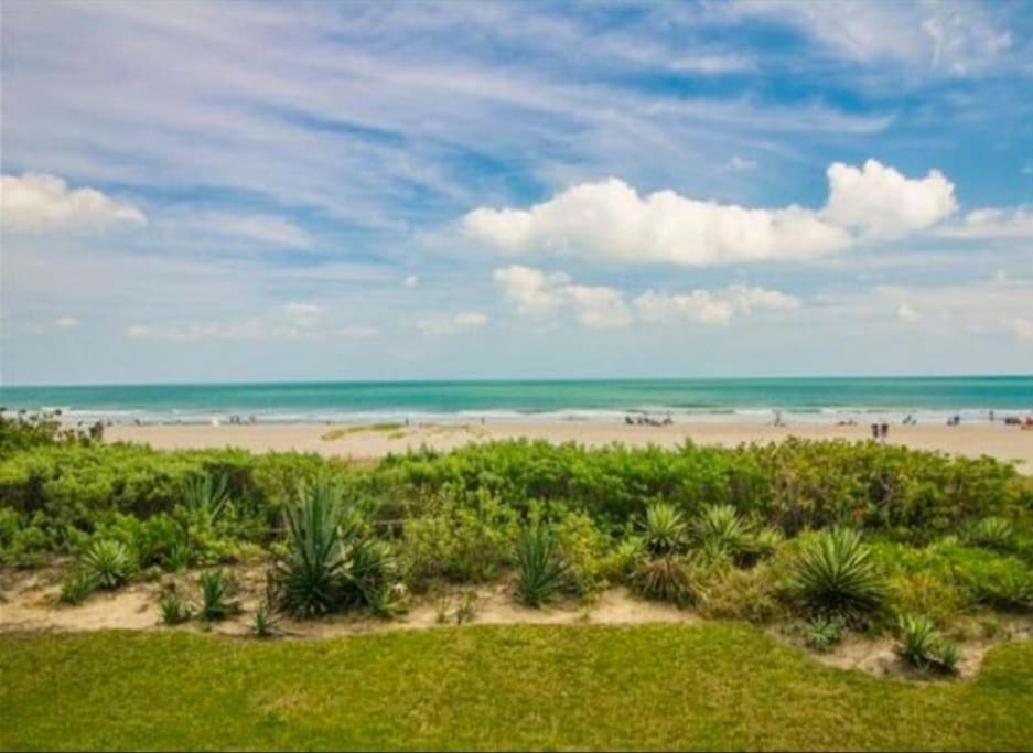קוקו ביץ' Beach Living At Its Best! מראה חיצוני תמונה